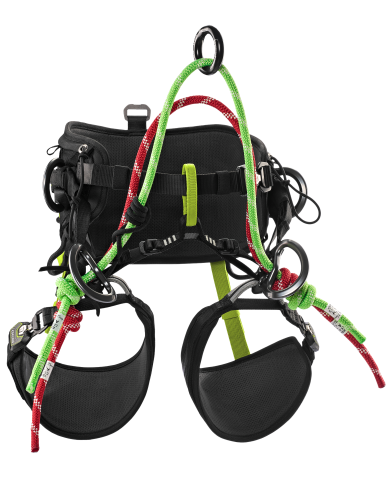 Baumpflegegurt TREEREX II Gr. 2