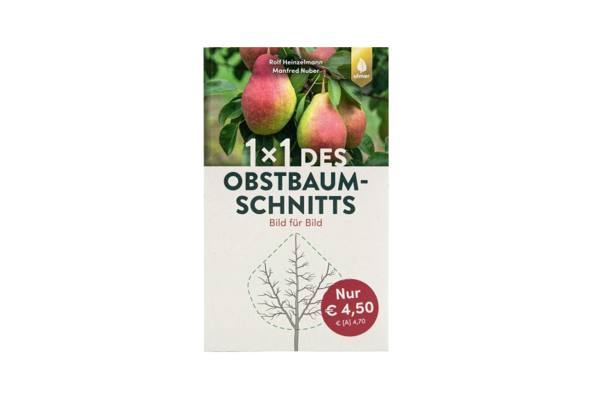 1 x 1 des Obstbaumschnitt