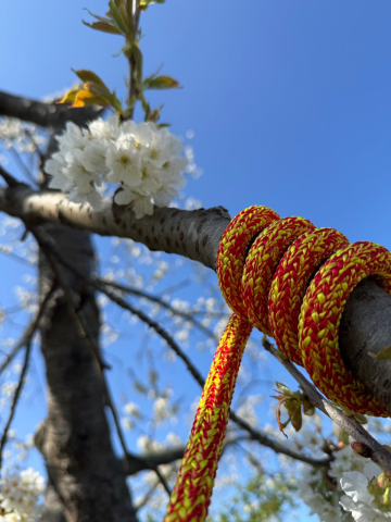 Kletterseil LIGNUM 12.5mm, rot-gelb, 45m, 1 Spleiss