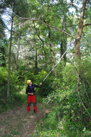 Hayauchi 4900-6.5 3-teilig 