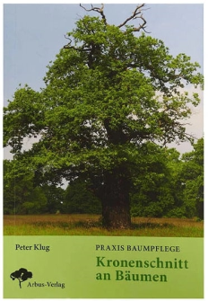 Praxis Baumpflege - Kronenschnitt an Bäumen