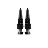 Ersatzdornen lang zu Steigeisen Distel