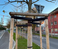 GEFA Baumbindegurt 50 mm Meterware