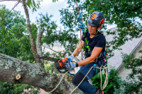 Ersatzteil Rope Runner Vertec  Aeris Kit