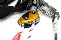 Set Leiter und Kleinbäume Gr. 2 