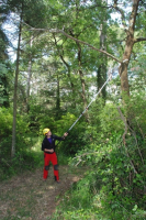 Hayauchi 4900-6.5 3-teilig 