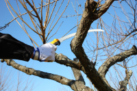 Hands&amp;#228;ge Tsurugi Curve 270-10