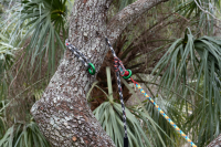 Schlinge MT ringLOOP 38cm