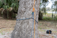 Stammanker MT chainANCHOR 3m