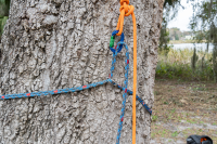 Stammanker MT chainANCHOR 3m