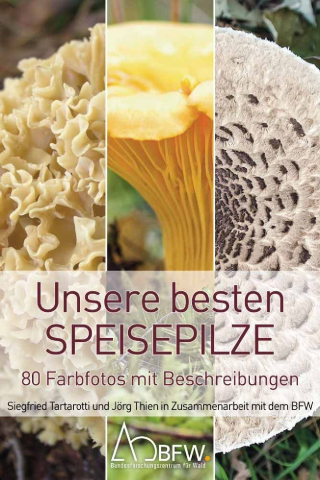 Bestimmungsf&amp;#228;cher Unsere besten Speisepilze