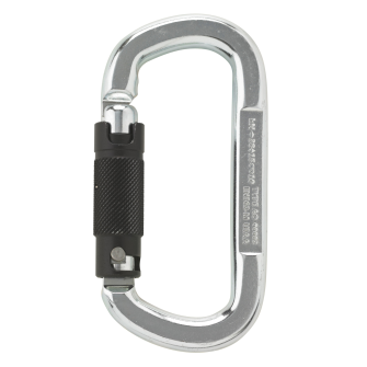 Karabiner Asymm oval Stahl