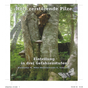 Bestimmungsfächer Holz zerstörende Pilze 