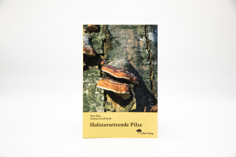 Holzzersetzende Pilze 