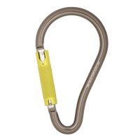 Karabiner Scaffolder Hook Kwiklock