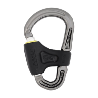 Schraubkarabiner Belay Master 2